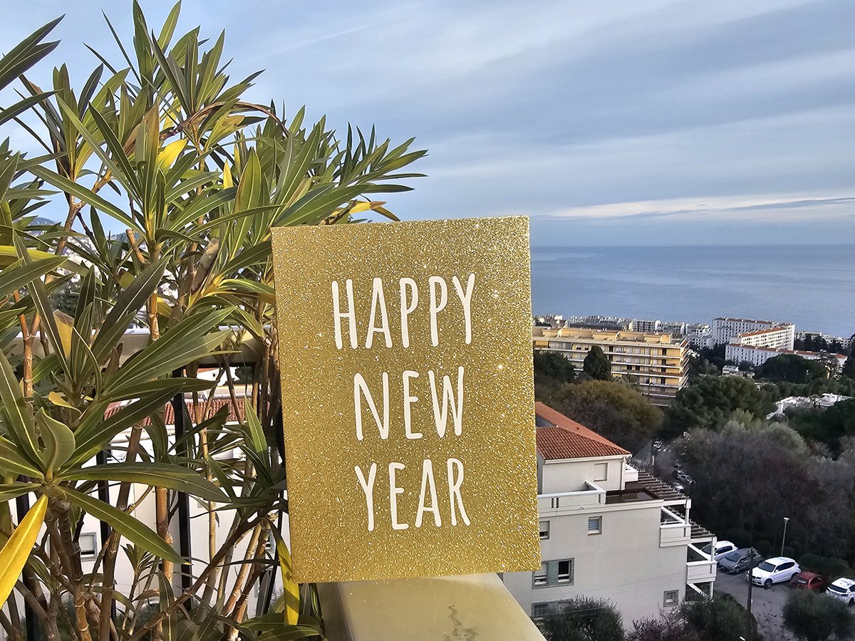 extrapascal's tweet image. Bonne année @VilledeNice !
