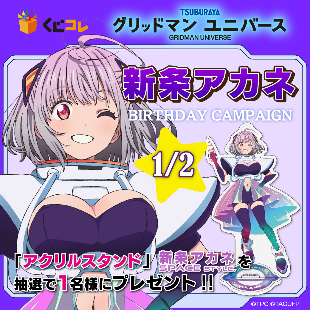 ゆ*と様 新条 アカネ　推しくじ グリッドマンユニバース 推しくじ A賞 新条アカネ メガアクリル