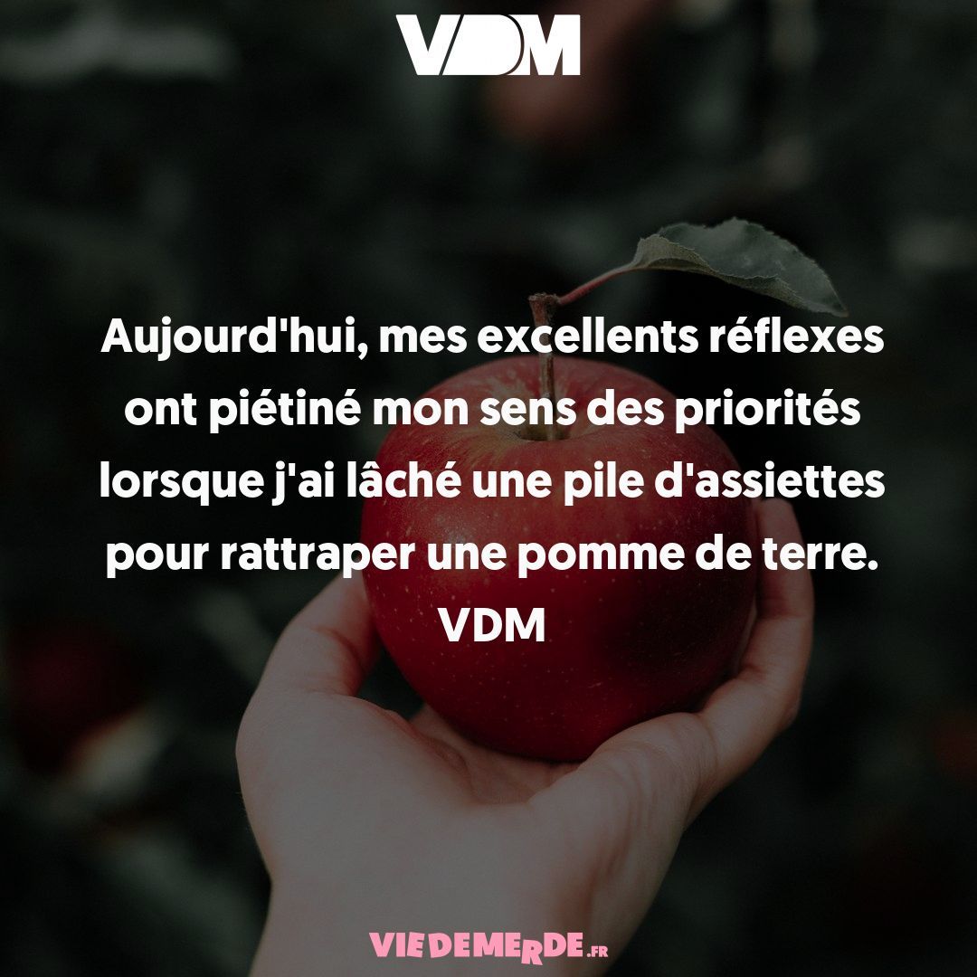 Postez vos VDM les plus drôles ici : viedemerde.fr/?submit=1 et/ou téléchargez notre appli officielle - viedemerde.fr/app