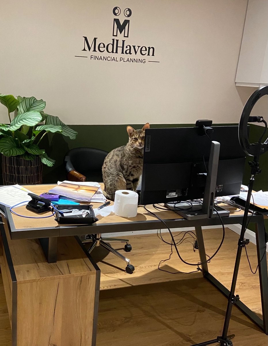 GregBowlerFA's tweet photo. We lost our beloved family cat in brutal fashion on our road Saturday. Thanks for the best 3 years 💔💔💔 let’s hope for a great 2024. https://t.co/PUV6xoYXQI