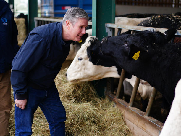 Labour promises farmers new EU deal amid collapse in UK agriculture firms (>6,000 farming companies have collapsed in recent years). Is this the start of food becoming an important election issue or just labour looking for some farmers votes? msn.com/en-gb/news/ukn…
