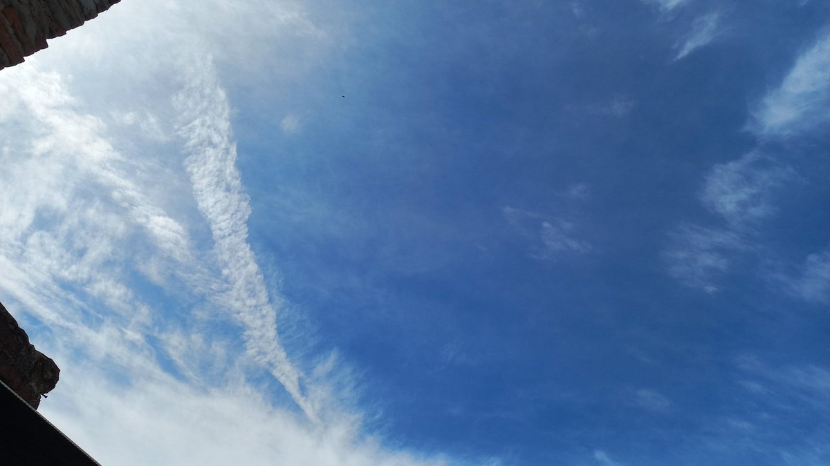 UnidosLiberales's tweet image. 9.30 am y el cielo de Gualeguaychú 🇦🇷 comienza a ser atacado con chemtrails!... de estar muy nublado comienza a abrirse el cielo. En tus pagos, qué está pasando? aflojá la pachorra y cámara en mano echáte de menos...

#Redes5ºPoder