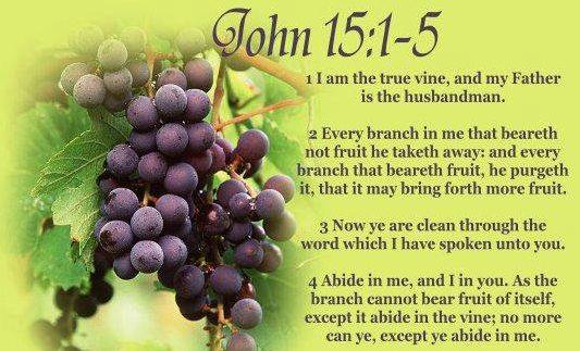 Our source of power in prayer is the VINE. If we are the branches in Christ, He will supply the power. Are you plugged in?