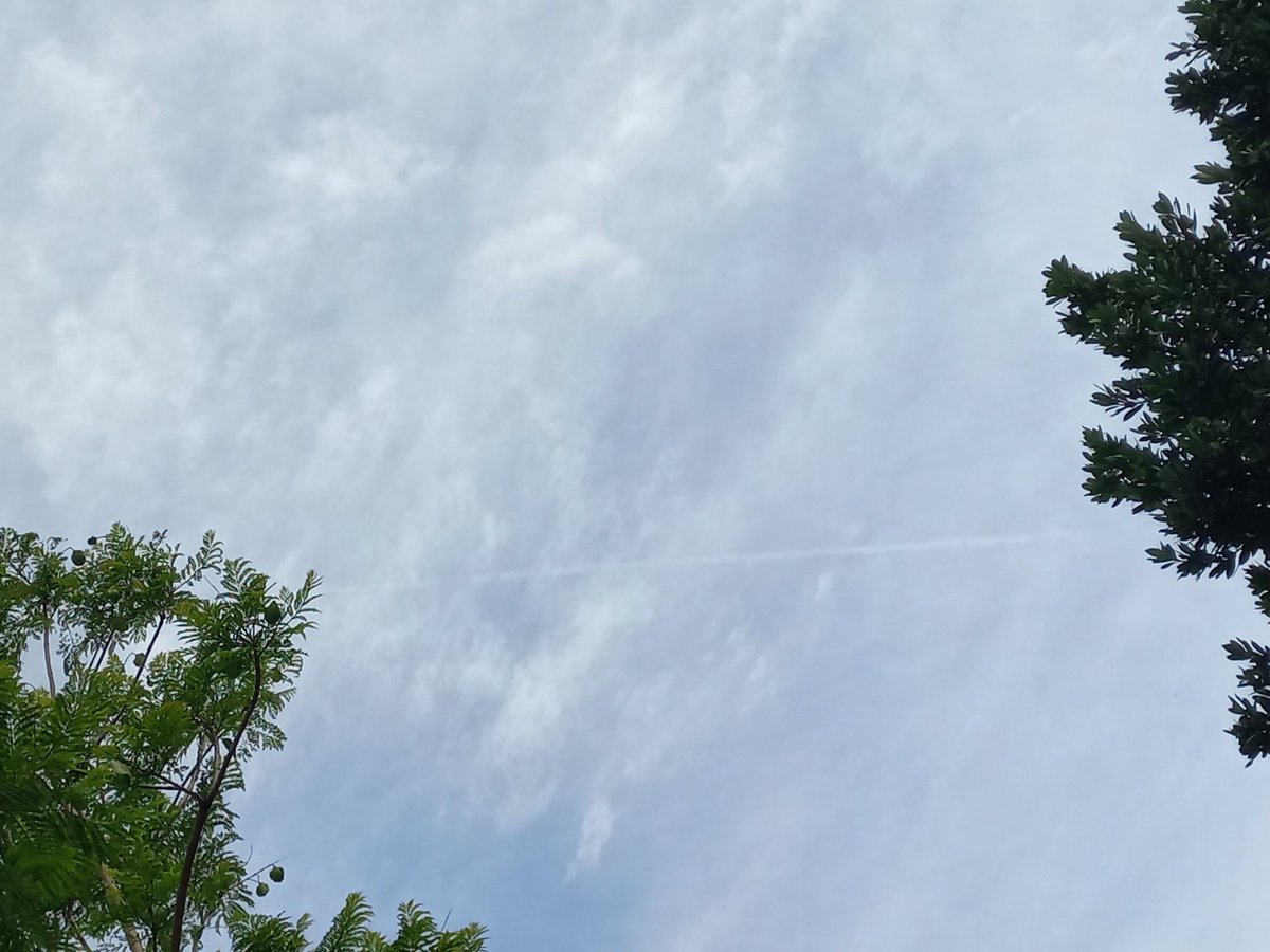 UnidosLiberales's tweet image. 9.30 am y el cielo de Gualeguaychú 🇦🇷 comienza a ser atacado con chemtrails!... de estar muy nublado comienza a abrirse el cielo. En tus pagos, qué está pasando? aflojá la pachorra y cámara en mano echáte de menos...

#Redes5ºPoder
