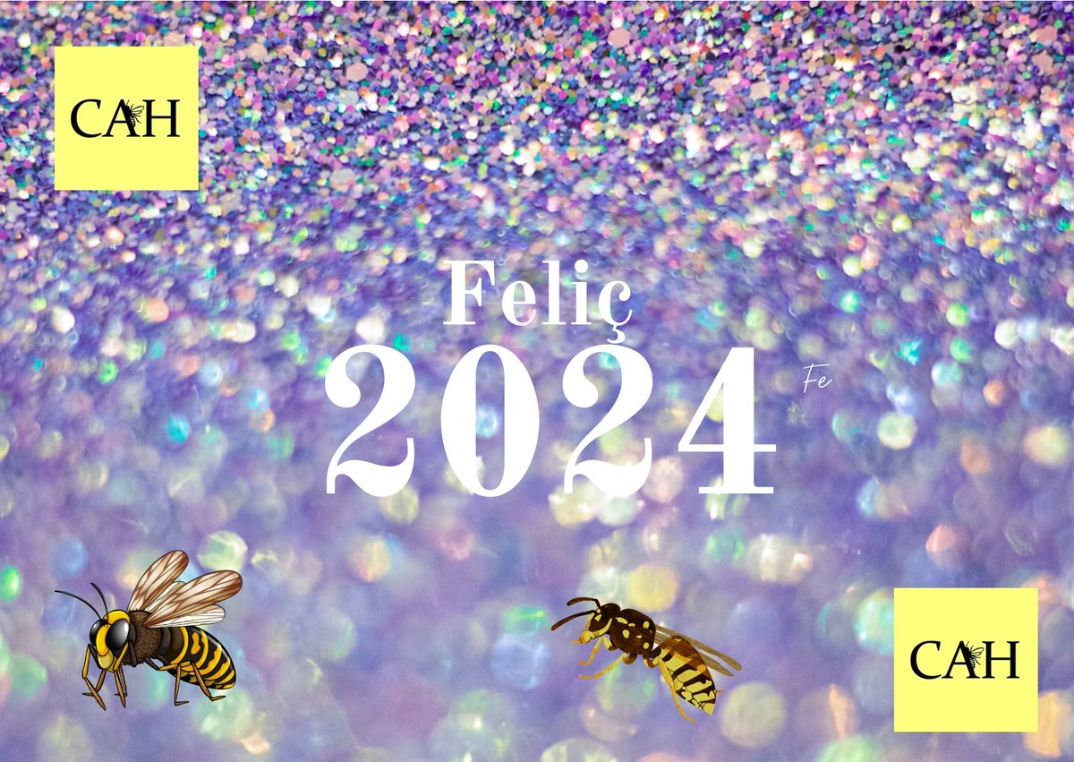 El CAH us desitja molt bon 2024! <a href="/scaic_cat/">SCAIC</a>