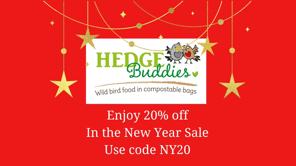 Happy New Year from Elizabeth of Hedge Buddies here in Aberdeenshire. I hope 2024 brings you everything you wish for and to help you along with your bird watching grab a discount now 😀 hedgebuddies.co.uk #NewYear2024 #NewYear #Birds #Aberdeen #Scotland