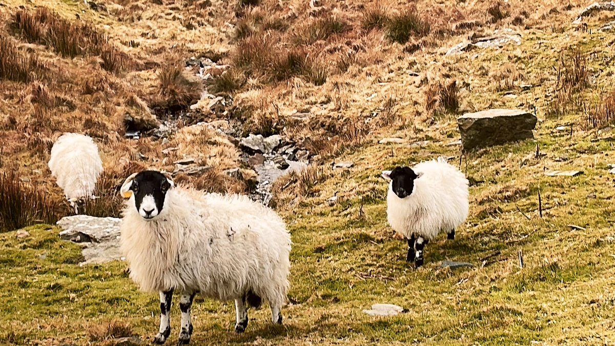 Up the hill at Teelin #SliabhLiag #WildAtlanticWay #Donegal #NewBeginnings2024