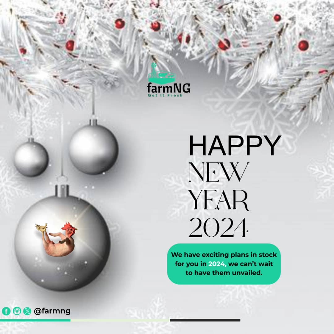 FarmNG_'s tweet photo. Wishing you an amazing and prosperous new year 🎊.

We can't wait for y'all to see what we have in stock, we're so excited 💃.

#happynewyear #newyear #newyear2024 #2024 https://t.co/yZZZMxLtz6
