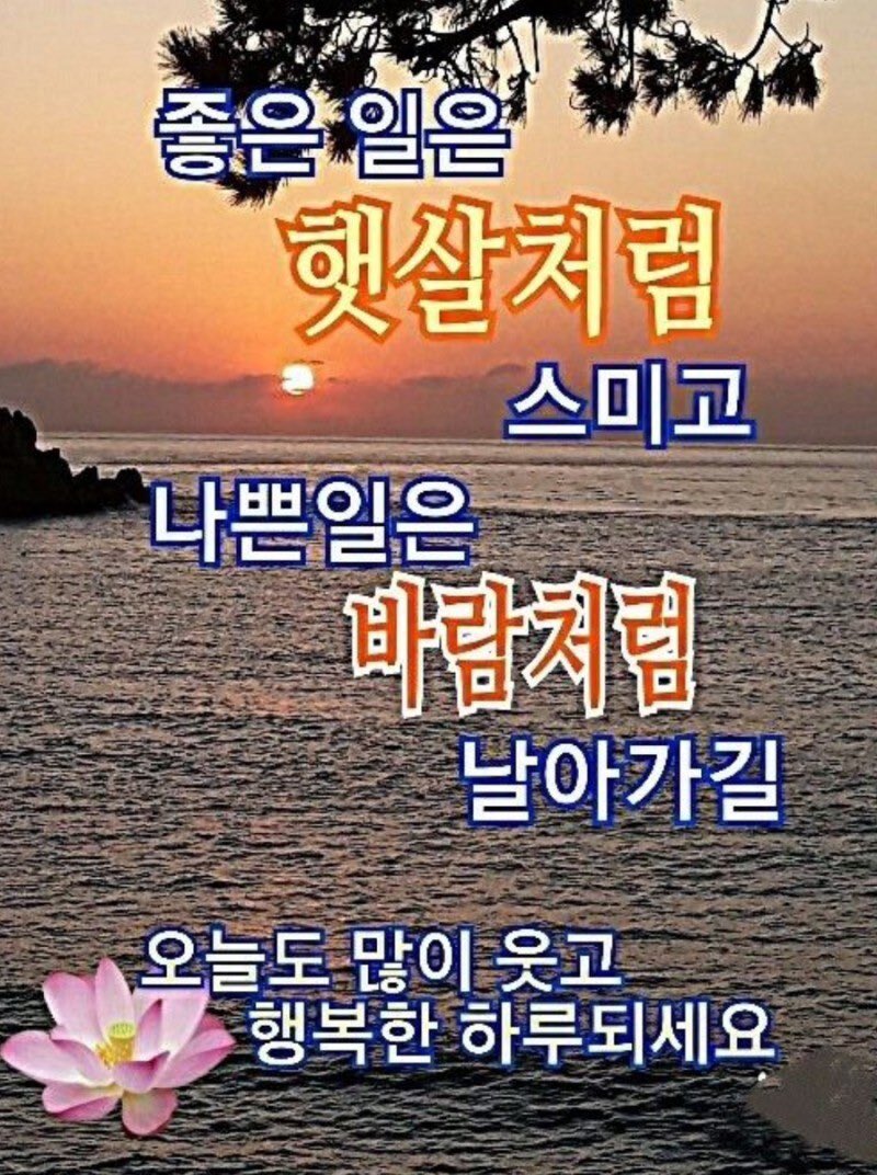 도비❄ tweet media