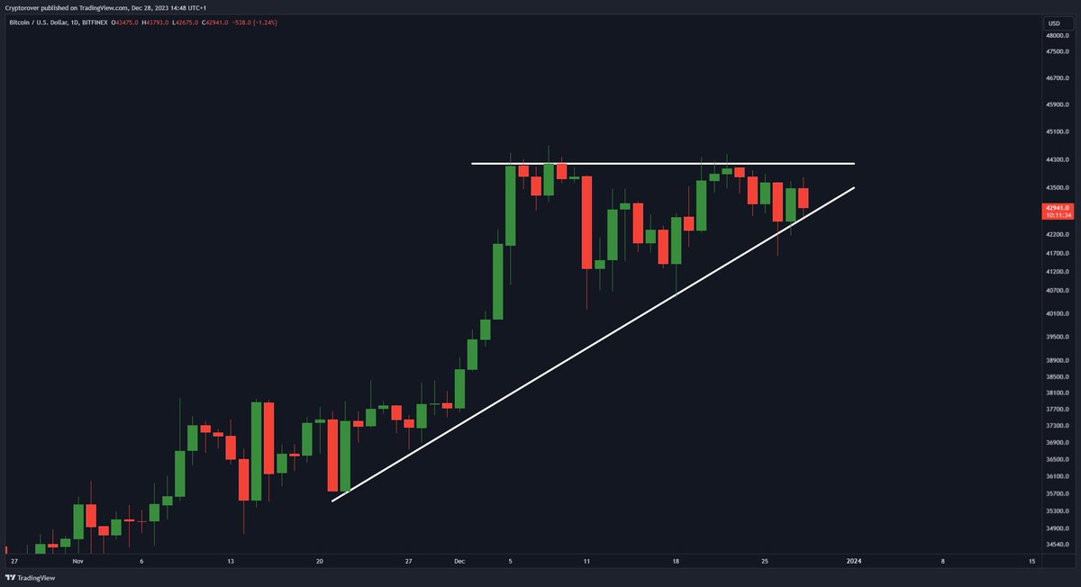 Joe Public tweet media