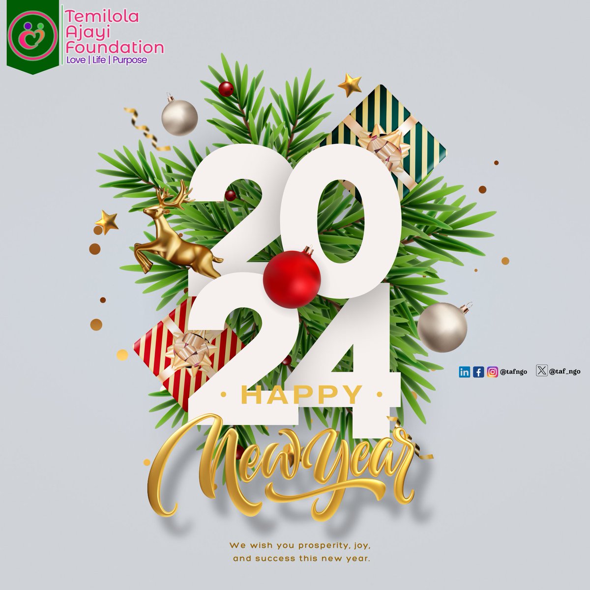 taf_ngo's tweet photo. YAY!!! its 2024! 

As we step into 2024, let's continue this journey of compassion &amp; unity. May this new year bring forth even more opportunities to make a difference.

Thank you for your incredible support in 2023. 

Here's to another year of making a difference together!

#taf https://t.co/0LJr6qJqdT