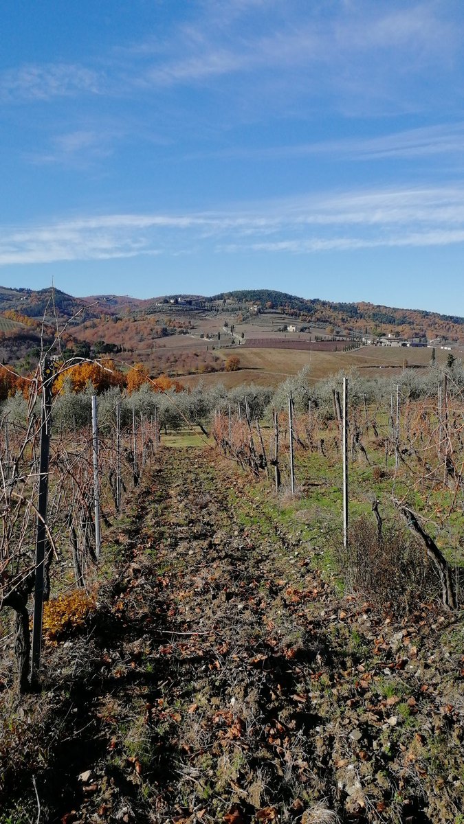 Leonardo Manetti - Poet & Tuscan Winemaker tweet media