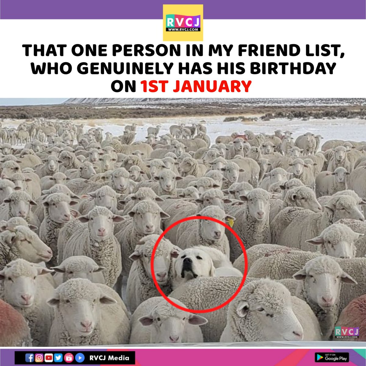 RVCJ_X's tweet photo. https://t.co/tMAVUAfYZ2