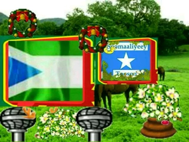 dhiif_dalab's tweet photo. https://t.co/WzwbODcsyA