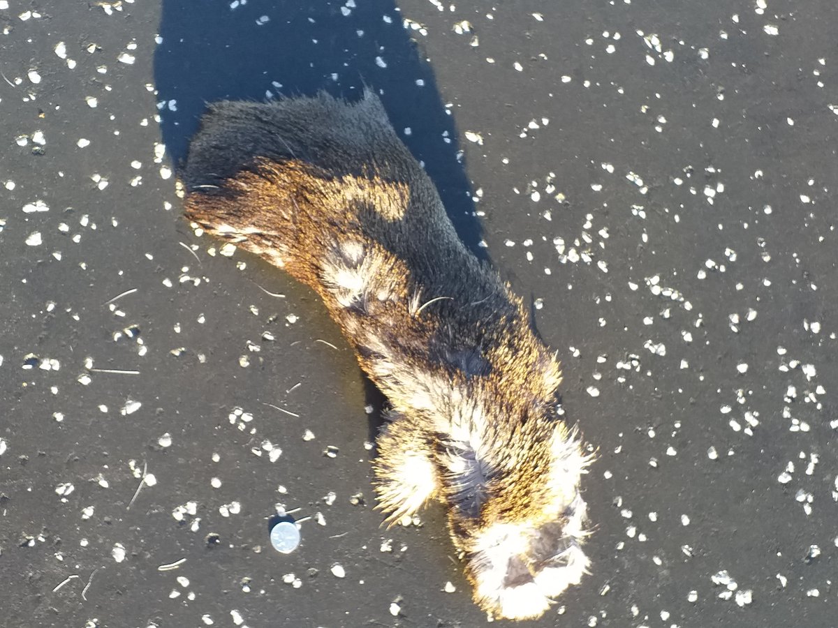 LiteraryCorstorphine tweet media