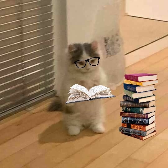 gyutweetz's tweet photo. ˚ ༘♡ ·˚꒰ ama's study progress ꒱ ₊˚ˑ༄
₊˚ ³¹ ¹² ²³₊˚

— last page of 2023 
karena ku tdk ikut bakar" tahun baru jadilah nyatet ulang mapel bio sem 1 📚🧬🦠

[#studytwt #ambisverse #amastudy] https://t.co/Bmtiu8Xt9G
