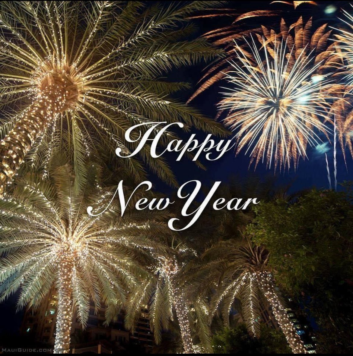 Linda Elizabeth tweet media