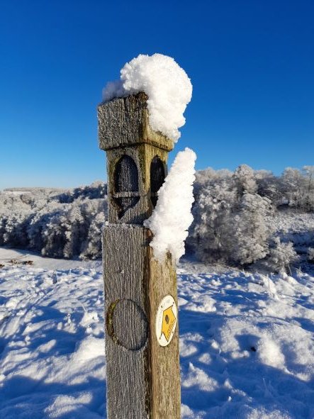 cotswold_walks's tweet photo. Happy New Year to all our followers. No snow here as of yet but what a difference it makes. What are plans for 2024? https://t.co/LK0FCKqKvs