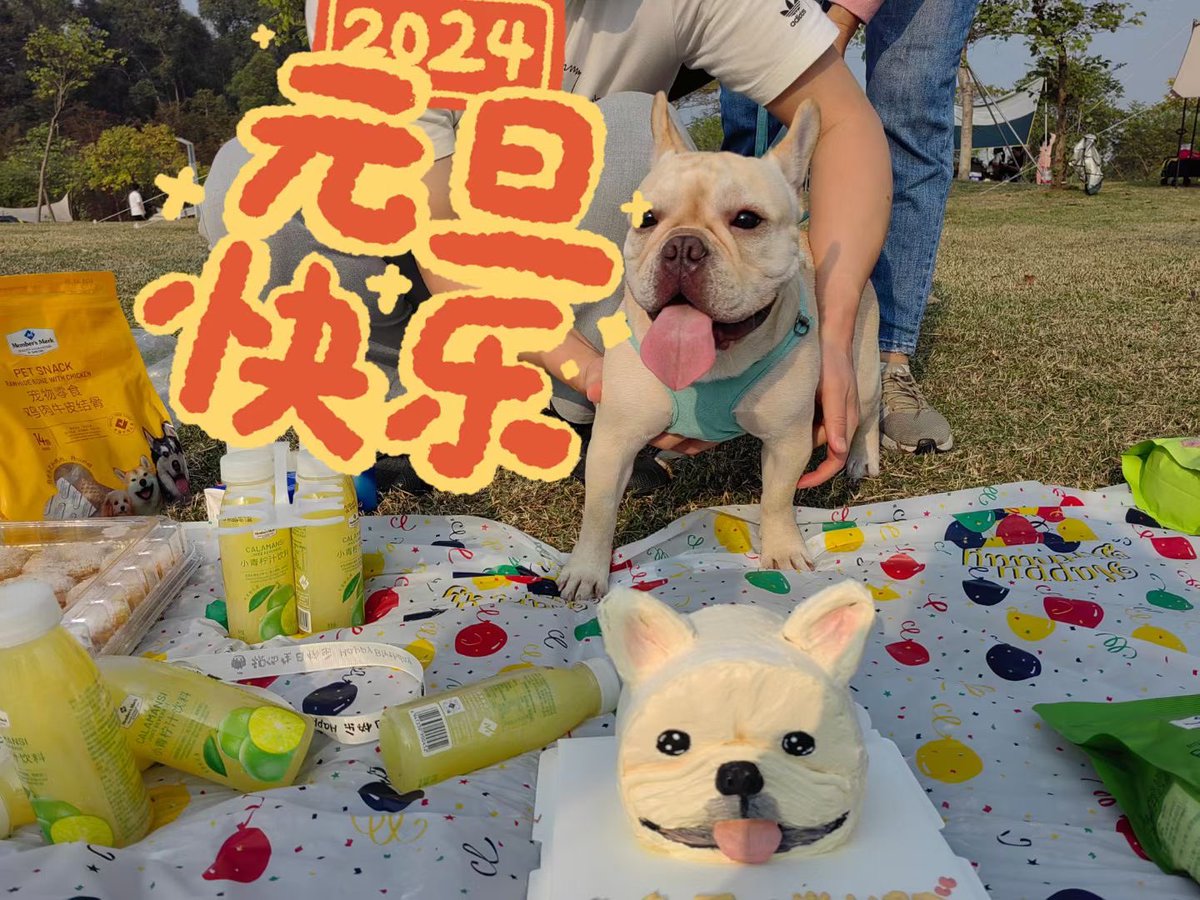 EricFish tweet media