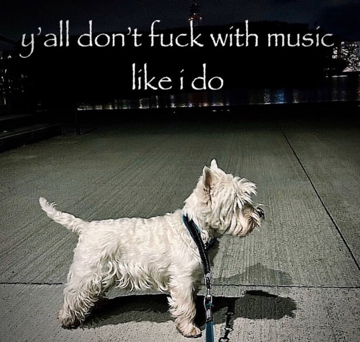 nocontextmemes's tweet image. 