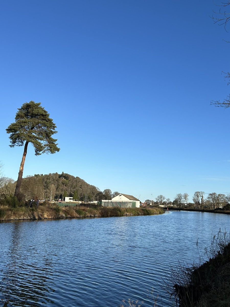 suzlaidlaw's tweet photo. Cracking day for a #newyearday walk along the #caledoniancanal  #Inverness #spanielsofx  #torveanpark https://t.co/WyJpjlYl66