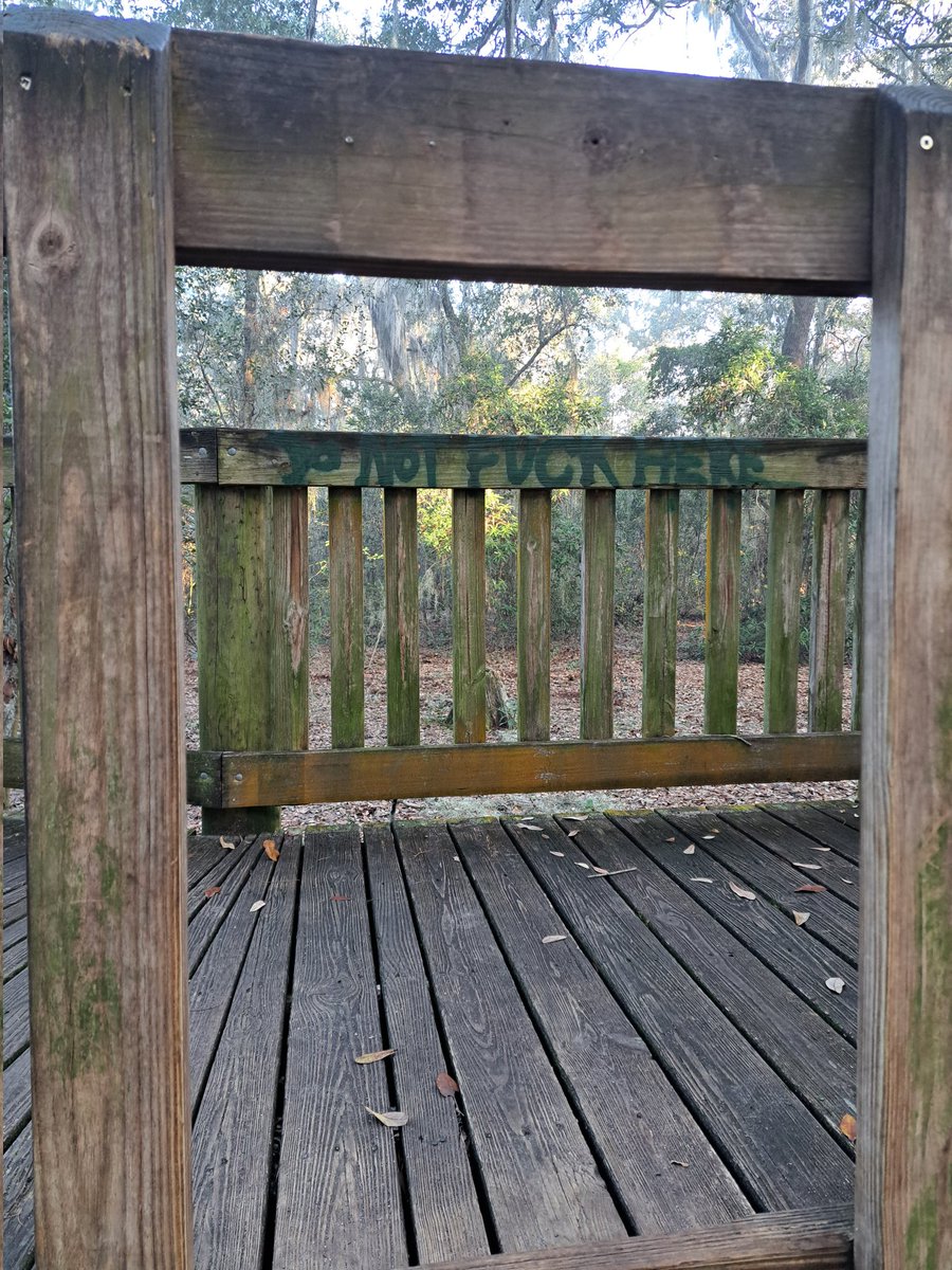 OrlandoCruising's tweet photo. "Do not fuck here"

The str8s know. Especially the disc players. Let's try to be more discreet but still inclusive in 2024

Airport lakes park 1.1.24

#airportlakespark
#orlandocruising https://t.co/rHkiVGIC8v