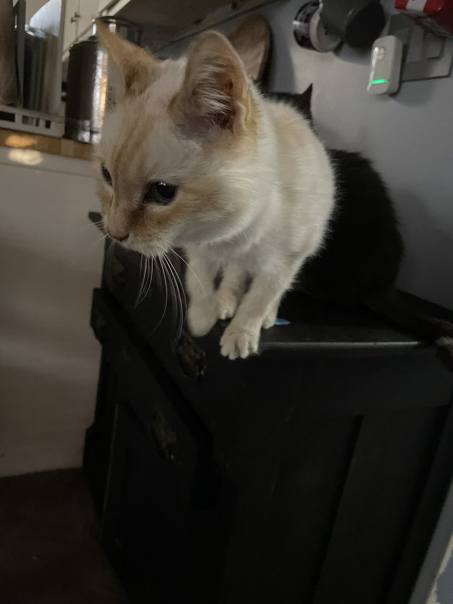 jilly!!! (@jillyaaaaa) on Twitter photo 