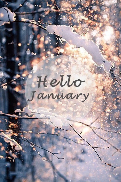 Silver_drop's tweet image. Hello January 2024 ❤️

#January2024 #Hello2024 #hellojanuary #january