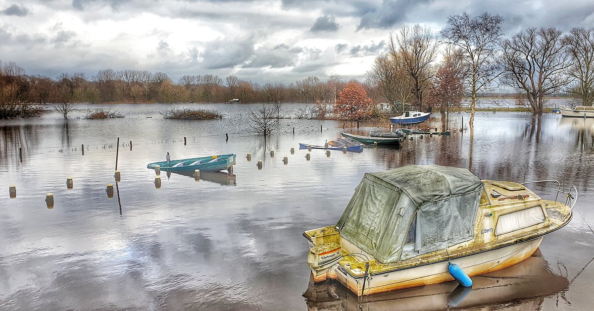 - JB in Beeld - tweet media