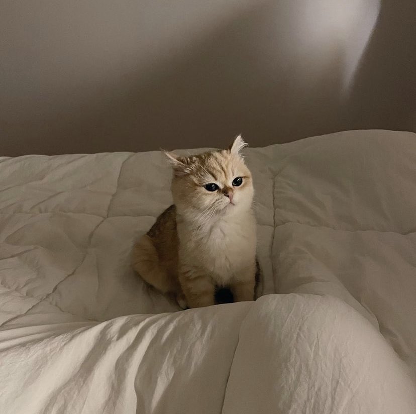 จ้วนกิมมุต้ะเสดยาง จ้วนนนน <a href="/cc00perr/">cooper</a>