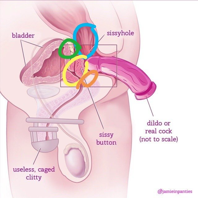 part3 分辨液体

预设精夜：在刺激前列腺时没有达到前列腺高潮前也会一直排出
如果正常射精后没有排尿，液体中会含有少量精子

前列腺液和精子液都会呈现乳白色
但不同的是，精子射出后会凝固成半固体

而前列腺液不会

如果不懂，可以射一发自己研究看看
#雌堕 #前列腺高潮 #伪娘 #前高 #男娘 #伪娘