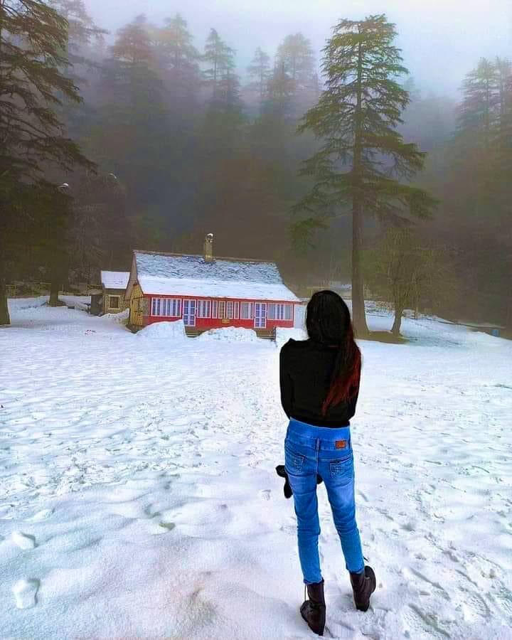 What if you stay here in Khajjiar Himachal Pradesh ? 

x.com/i/spaces/1eaKb…