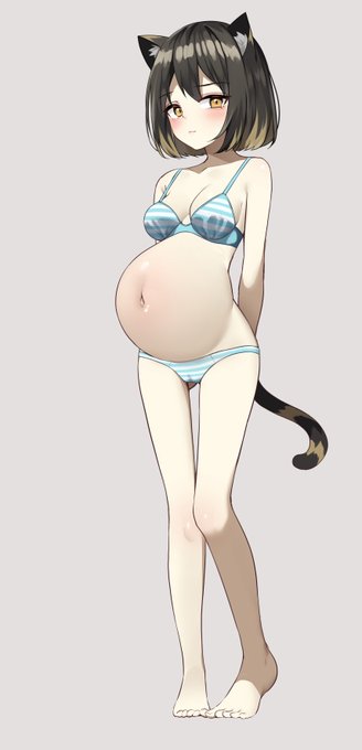 ボテねこちゃん 