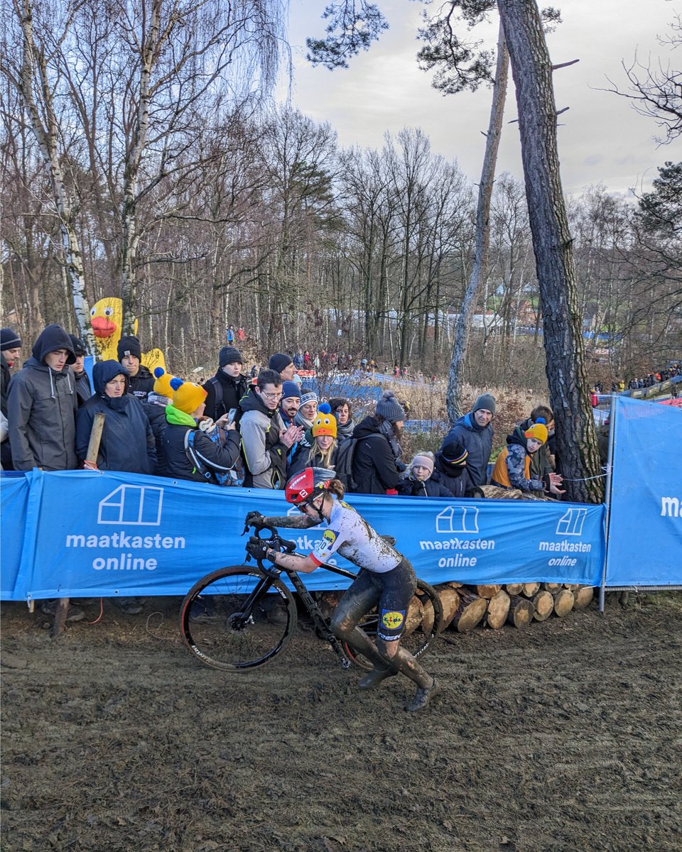 El tío del dato tweet media