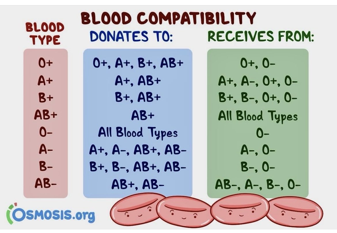 OGdukeneurosurg's tweet photo. What blood types are compatible by osmosis https://t.co/8a1PQtWdKF