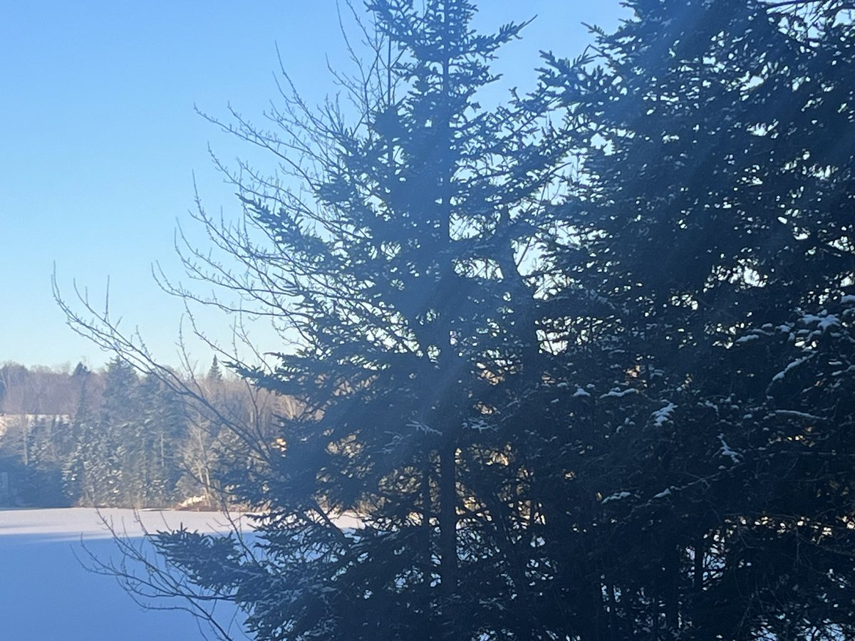 Patrice Roy tweet media