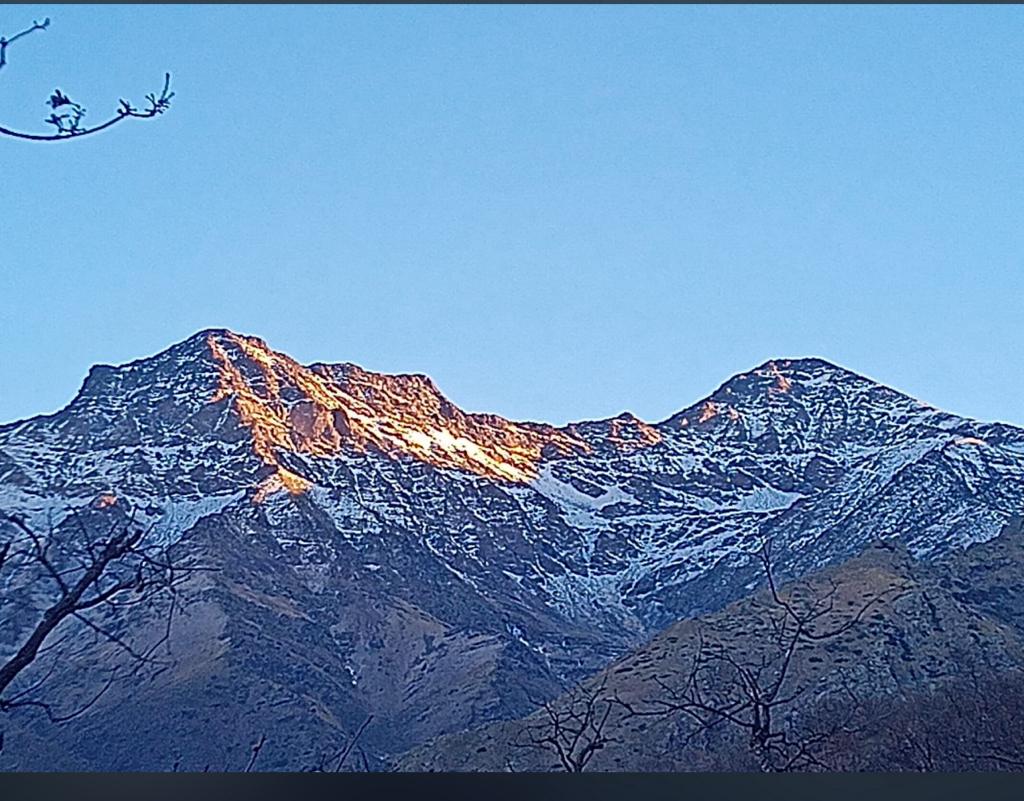 Amig@s Sierra Nevada tweet media