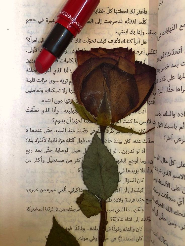 هل اقرأ كتابك لأعرف كيف تحولت؟

<a href="/aqee0011/">عقيل عبدالرضا</a>  أعتقد هذا سؤالك من تقرأ الرواية؟