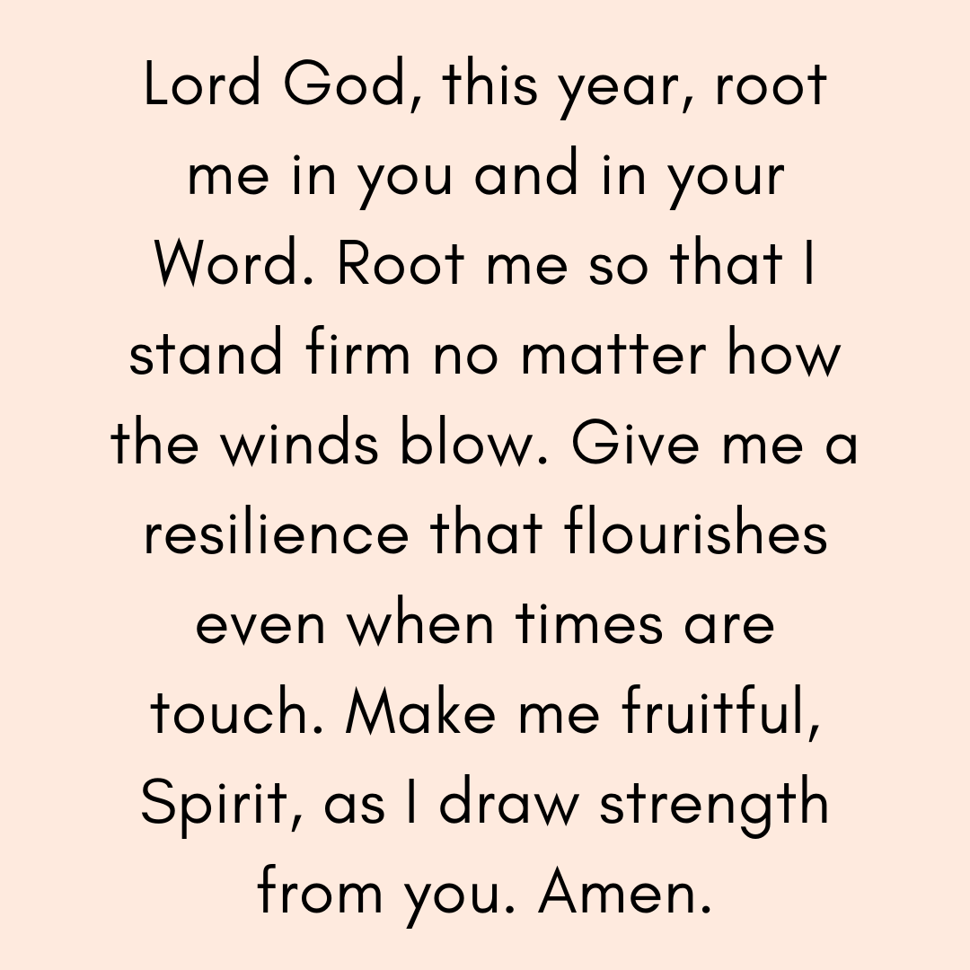 TheMountMKE's tweet photo. Psalm 1:3 - That person is like a tree planted by streams of water, which yields it fruit in season and whose leaf does not wither - whatever they do prosper

#SOAP #verseoftheday https://t.co/FhkAp3bz6t