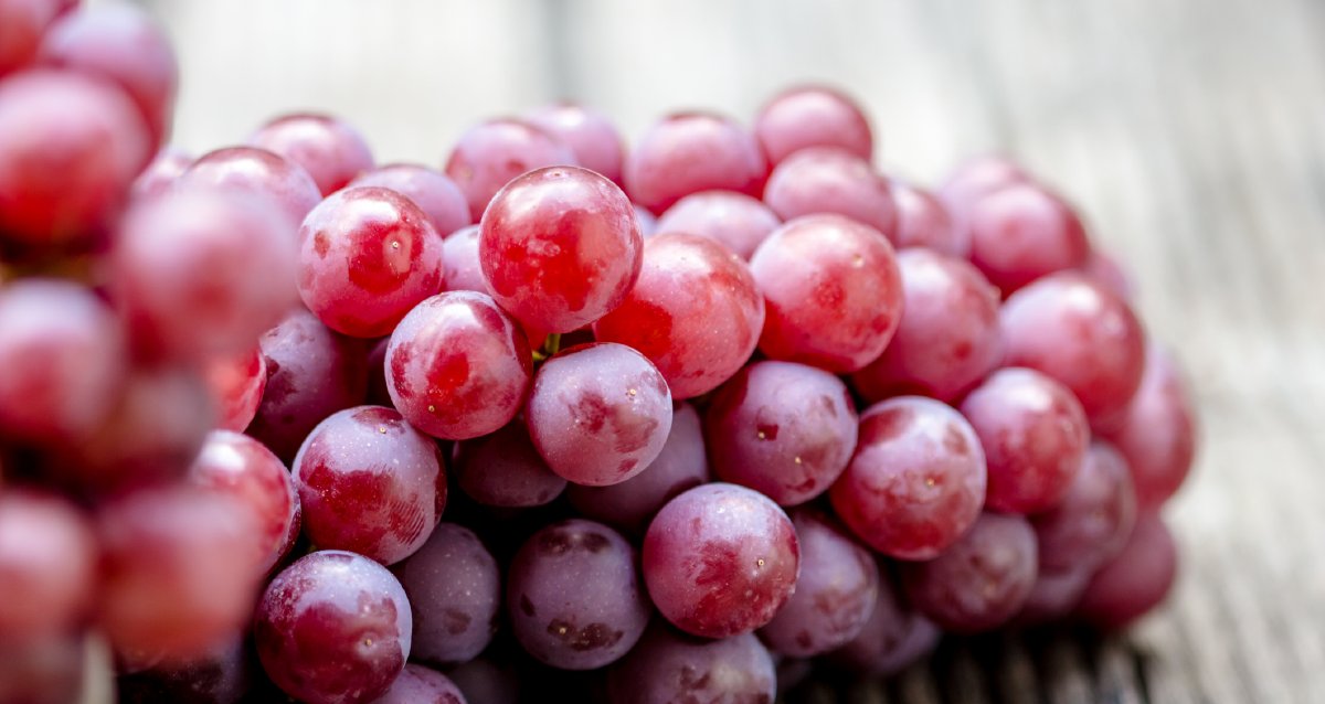WebMD's tweet photo. Grapes, especially red and purple, have high levels of resveratrol. That’s an antioxidant linked to the prevention of breast, liver, and stomach cancer. https://t.co/uM2tBW0Xcb https://t.co/g5axjDYz6K