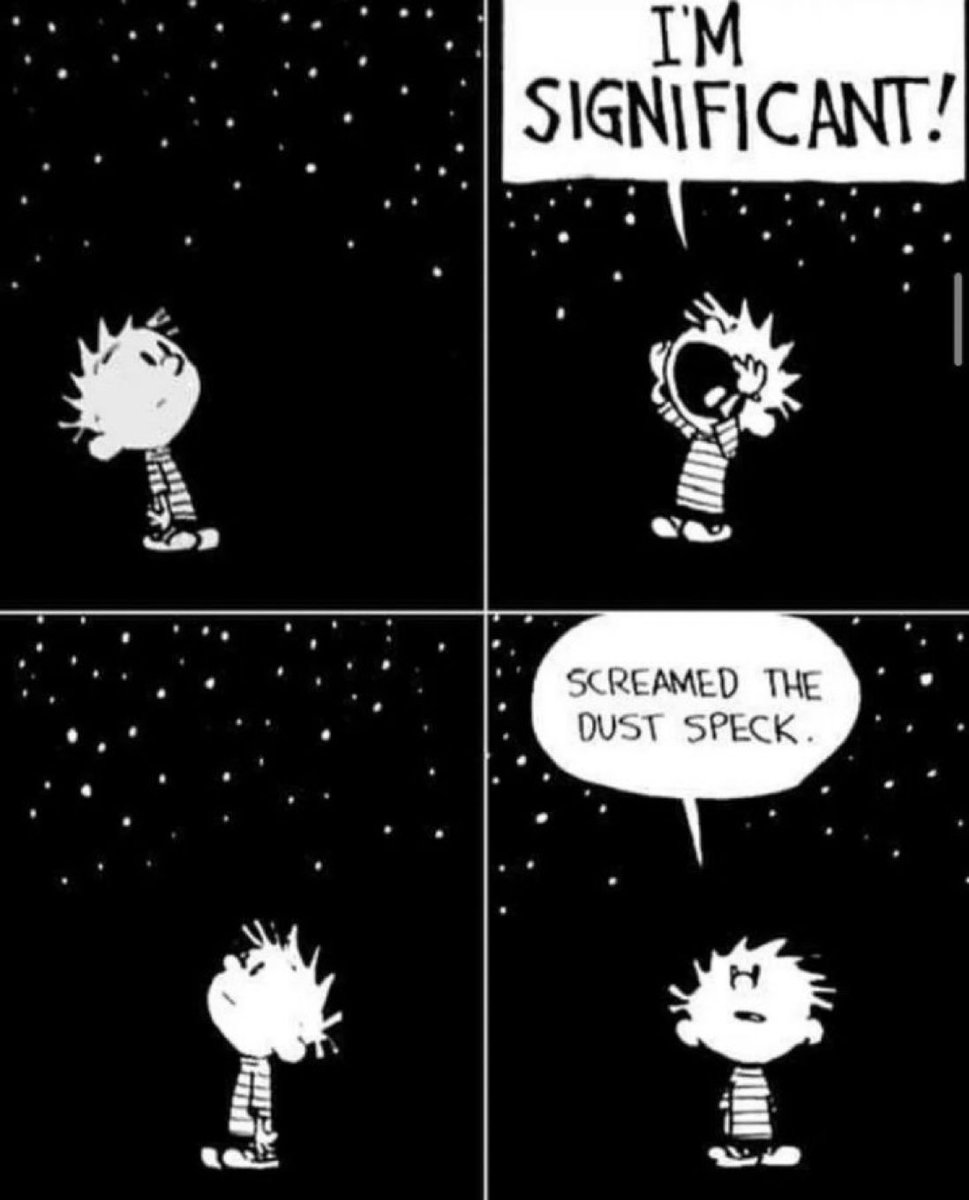 Calvinn_Hobbes's tweet photo. 🪐🔭🌌 #CalvinandHobbes https://t.co/DiGMfHuZxq