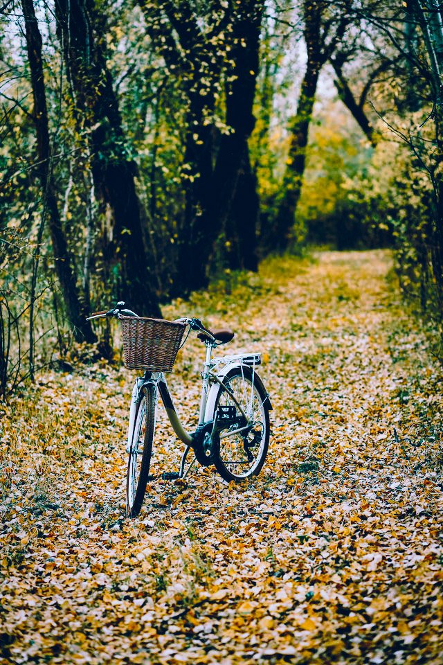 DeshenLouise's tweet image. What is the hail which all of us wish?
A goal that is worthwhile
A kind-hearted soul is worthwhile
A precious moment is worthwhile
A painstaking is worthwhile
A small venture is worthwhile
Anything worthwhile takes a while.
_🖊0101.24 🏷

#hr_inspires
#amwriting
#micropoetry