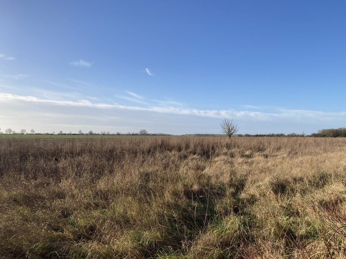 DfsStubbs's tweet photo. New Year’s Day …a much needed walk on #Cambridge #WestFields https://t.co/CBhSzZANMm