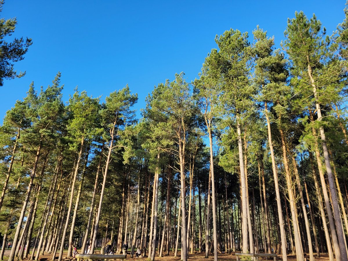 Rob Hobson tweet media