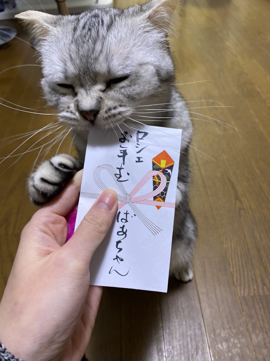 diary0x0's tweet photo. #こんな時だから取り敢えずﾈｺﾁｬﾝの画像をはれ https://t.co/Ce68SfRbTM