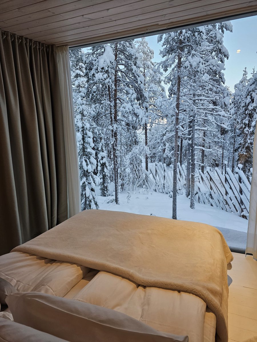 Arctic TreeHouse Hotel tweet media