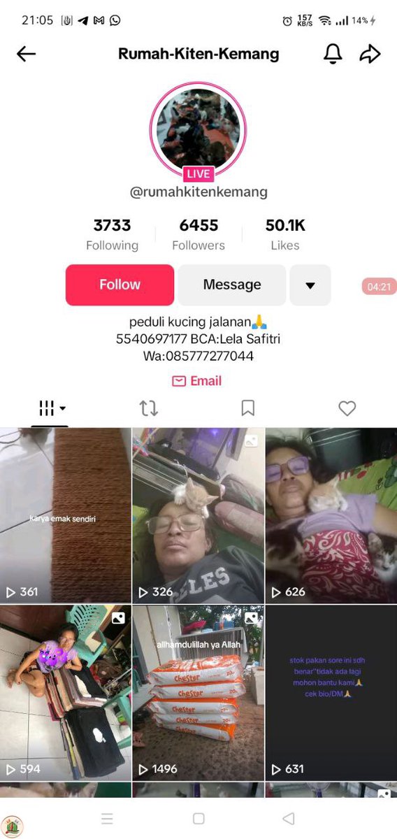 kochengfs's tweet photo. Guys, kasian ini shelter kcg! kehabisan makanan user tiktok: rumahkitenkemang https://t.co/Dlw6dA6xT8