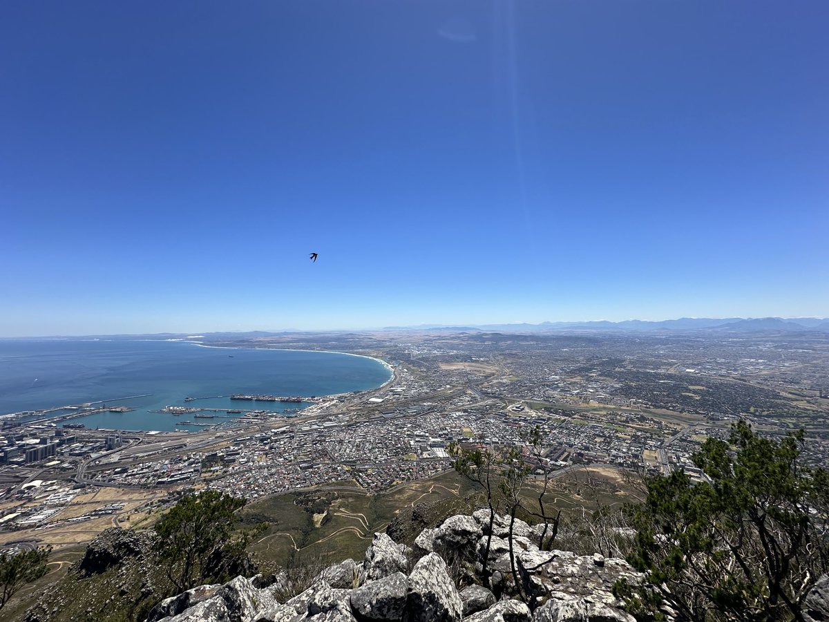 ulicnyczsahel's tweet photo. There is 5 years difference climbing #DevilsPeak on #NewYear in always beautiful #CapeTown #WesternCape https://t.co/8l58gAaCu1
