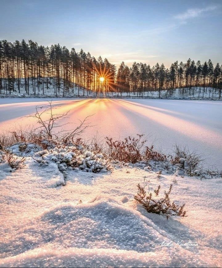 ❄️ Good morning dear friends #nature #NewYear2024