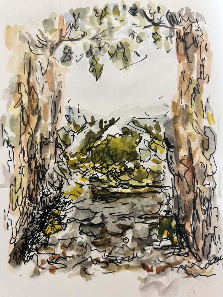 Rachael May tweet media